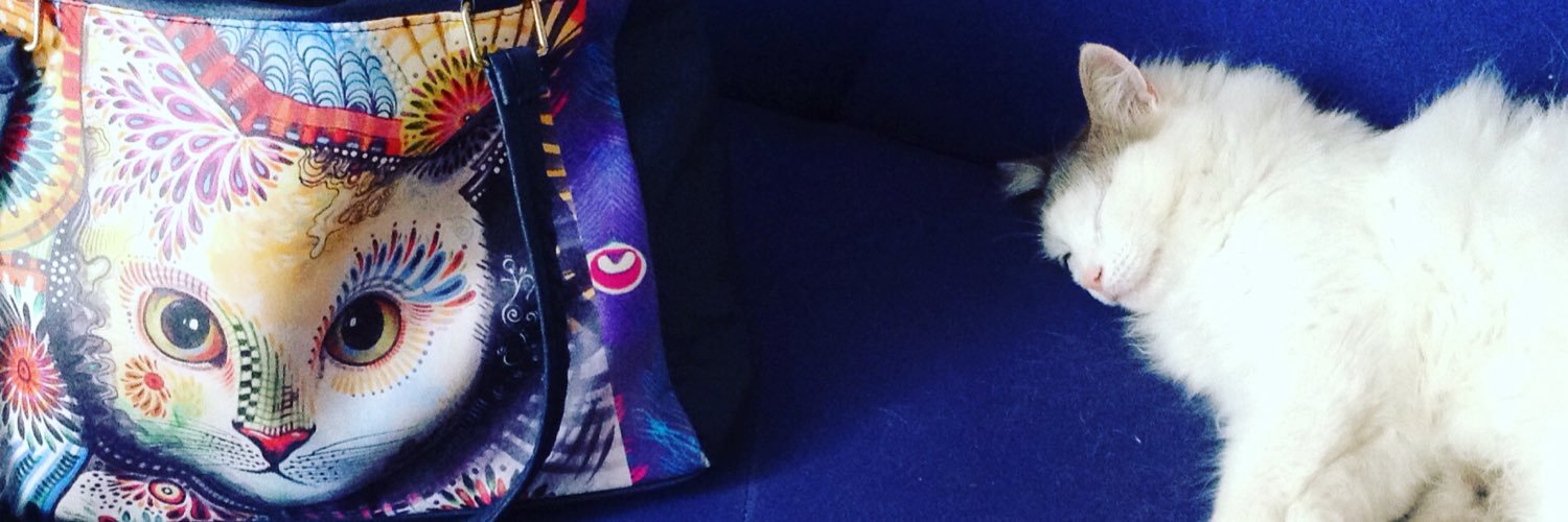 frikylu's profile banner image