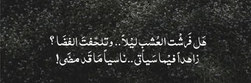 Nada_maab's profile banner image