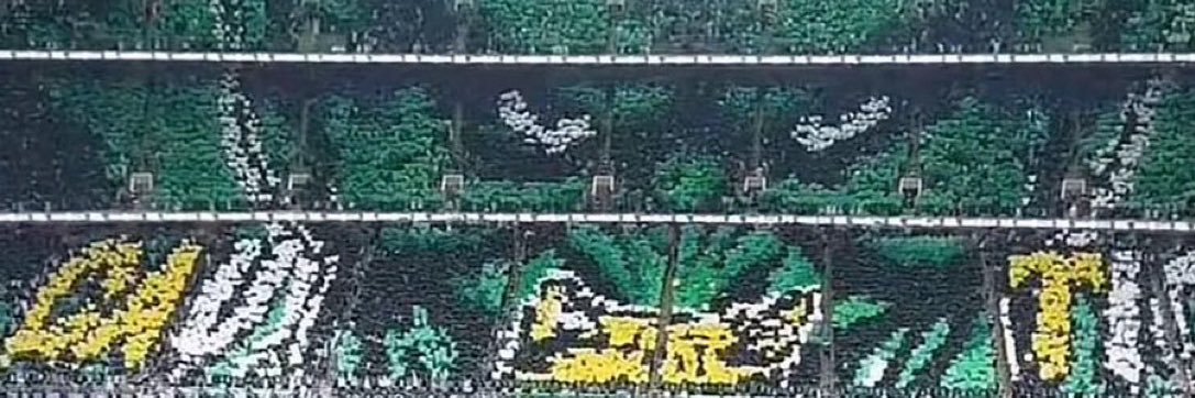 Ahli_s0's profile banner image