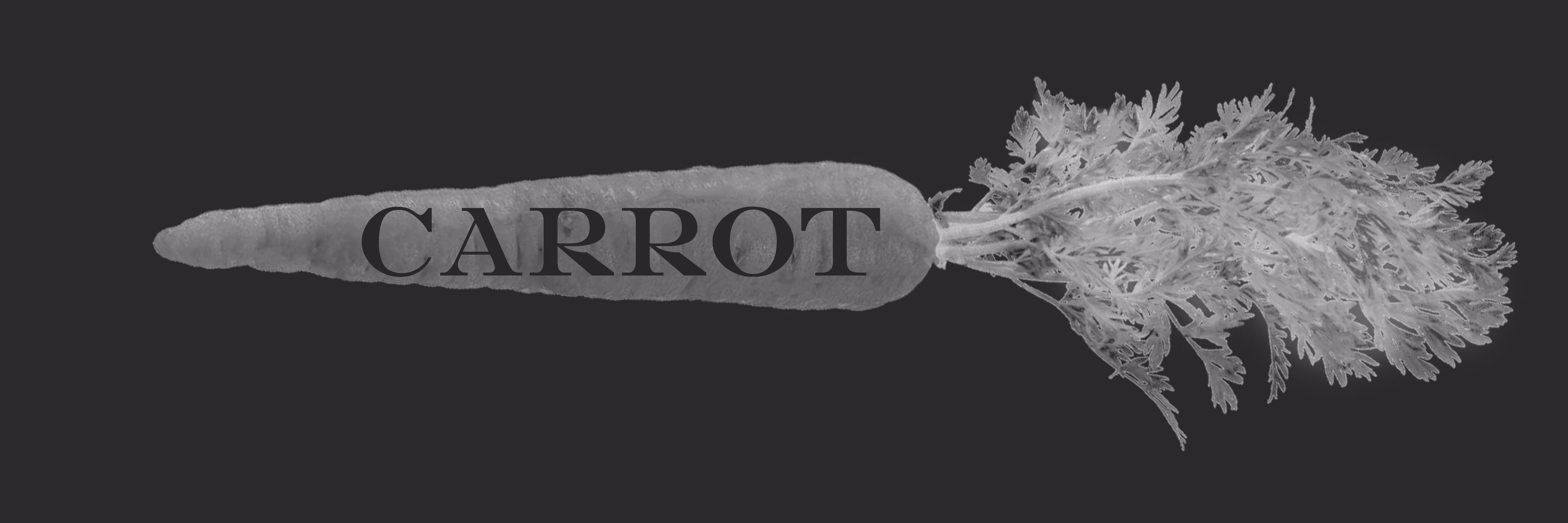 R. Carrot banner