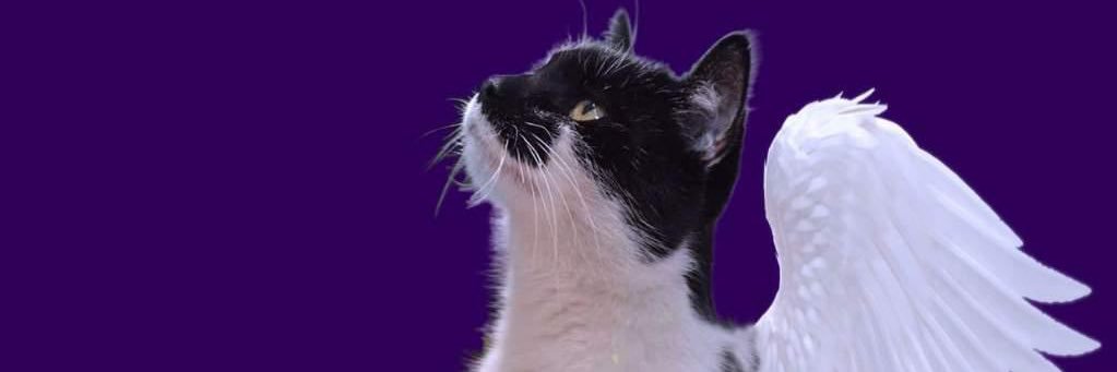 Oswald Clingan Smith banner