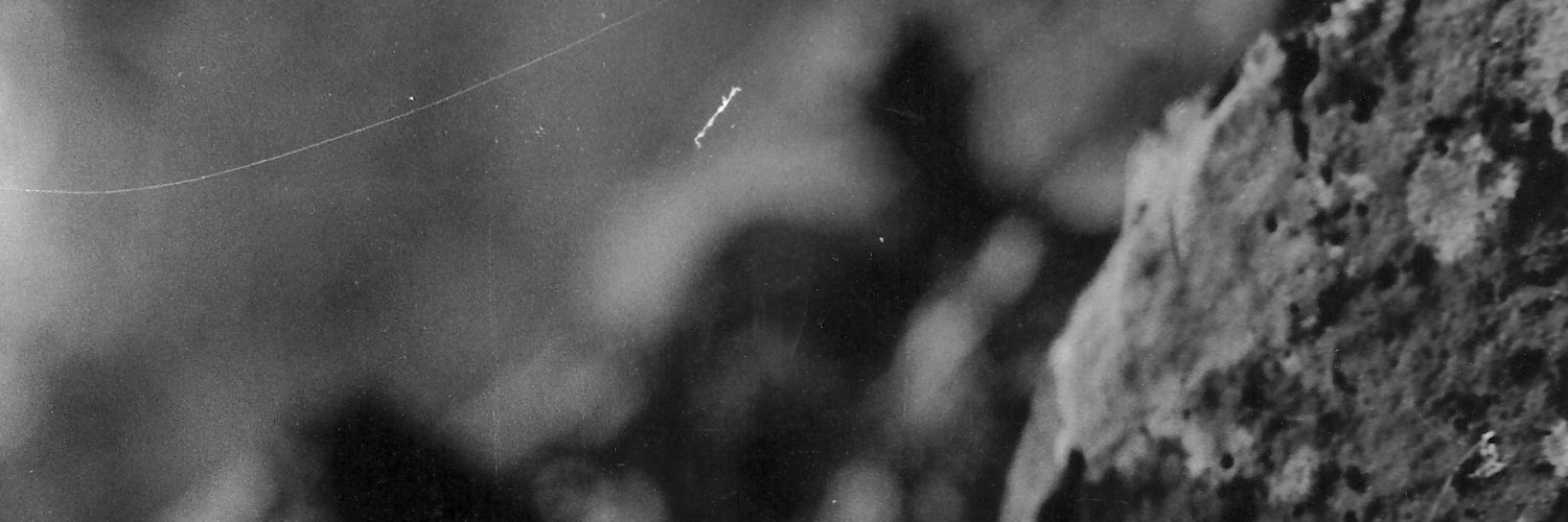 nicosandi's profile banner image