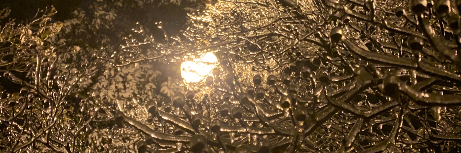 elijah 🪽🤍☄️ banner