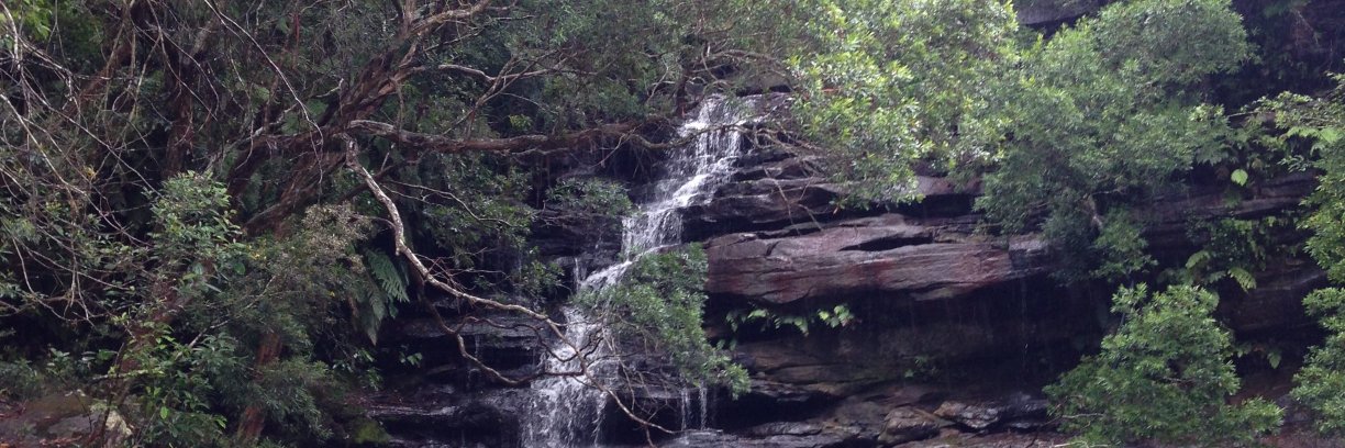 Jack Hetherington banner