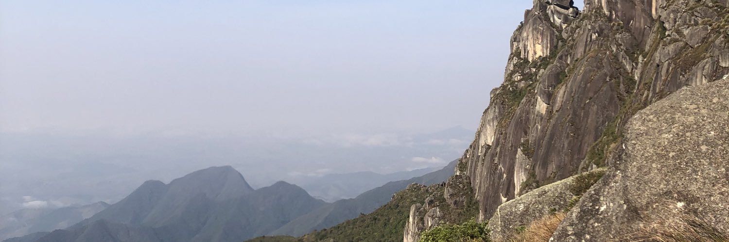 Francisco d'Albertas banner