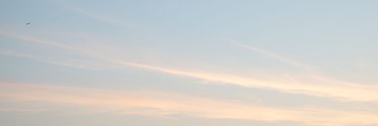 chavborromeo's profile banner image