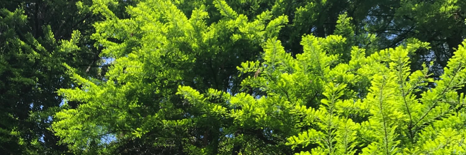 asunaro4108's profile banner image
