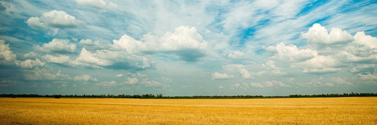 olon0x's profile banner image