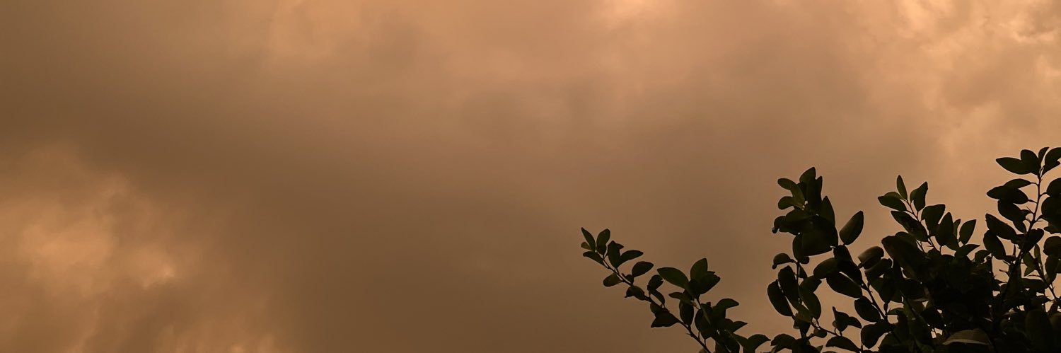 abram_lee's profile banner image