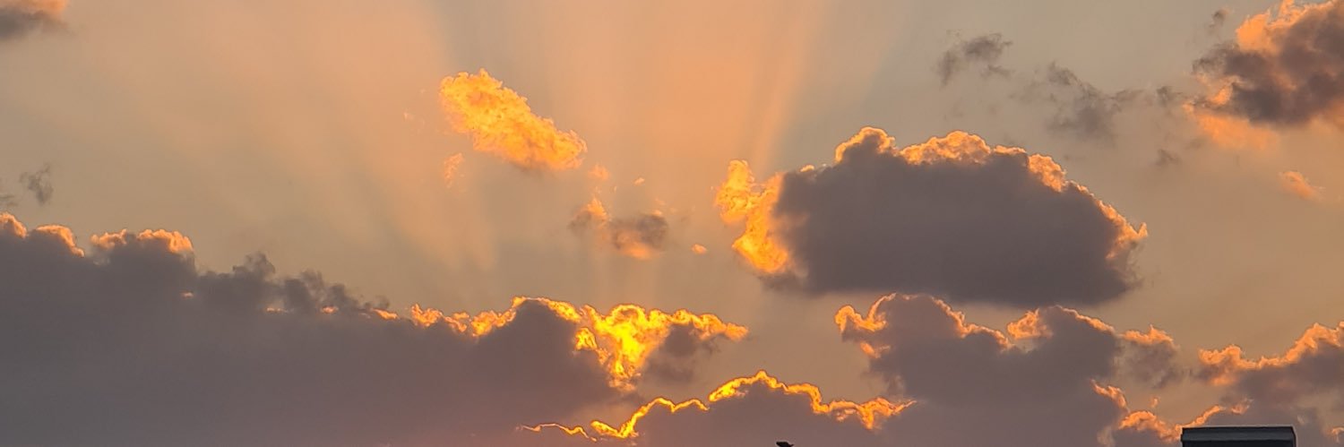 u_se_f's profile banner image
