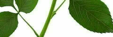 fo2ad_mohsin's profile banner image