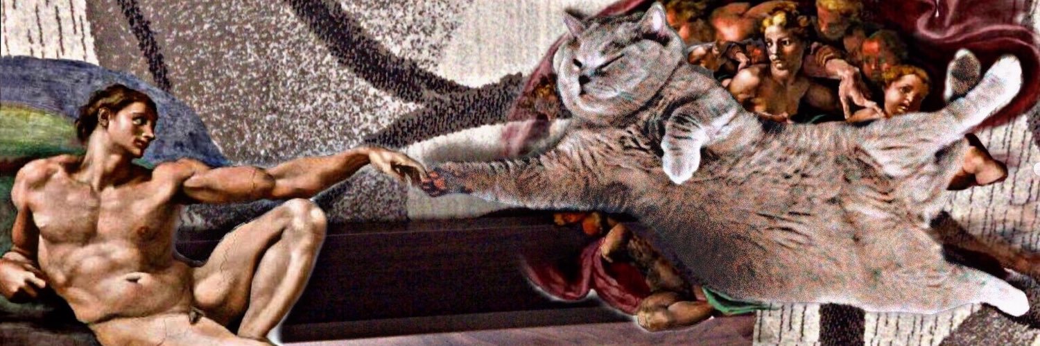 Yiğit C banner