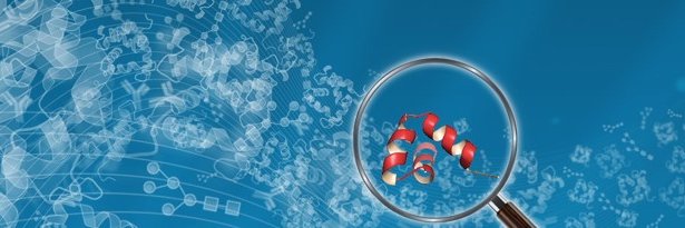 Begoña Redruello banner