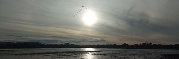DublinHistorian Profile Banner