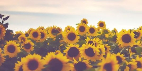 AustinMarieL's profile banner image