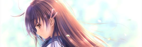 setsumi22's profile banner image