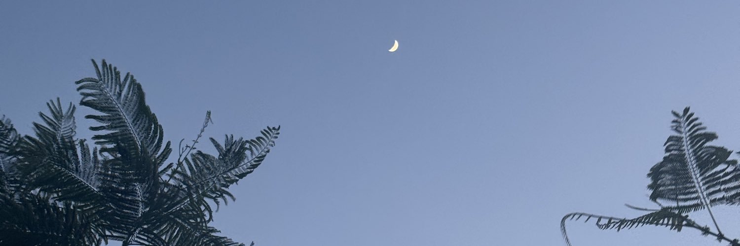 strxth's profile banner image