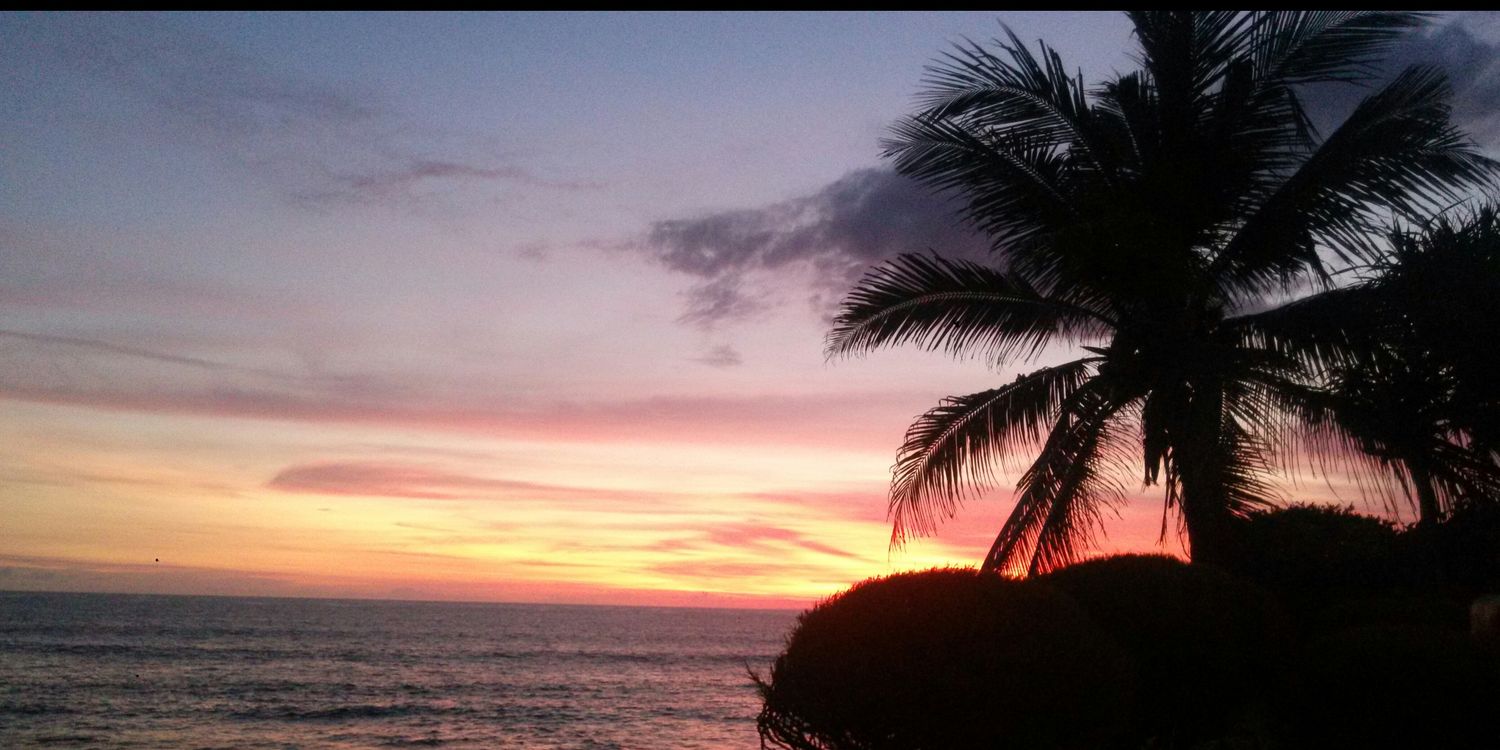 RabieJannah's profile banner image