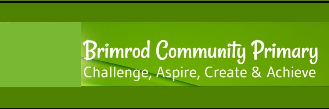 Brimrod Primary (@Brimrod_Primary) / Posts / X