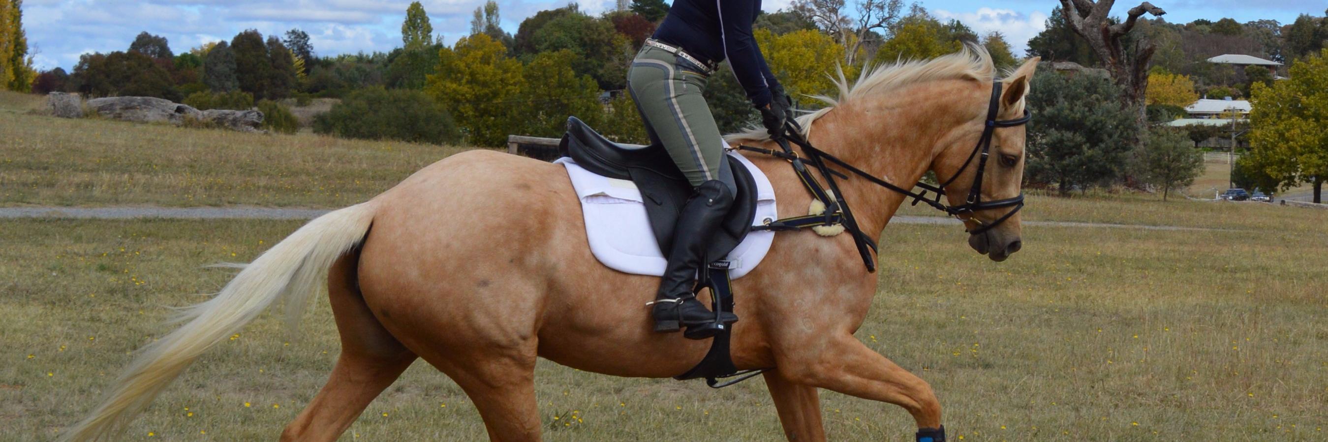 NatalieEventing's profile banner image