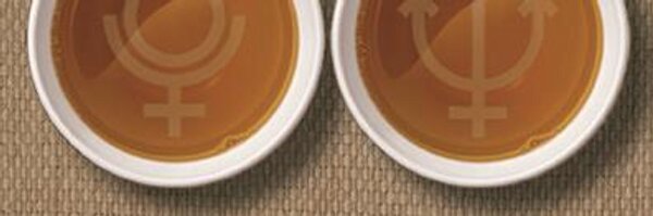 marcopesatori Profile Banner