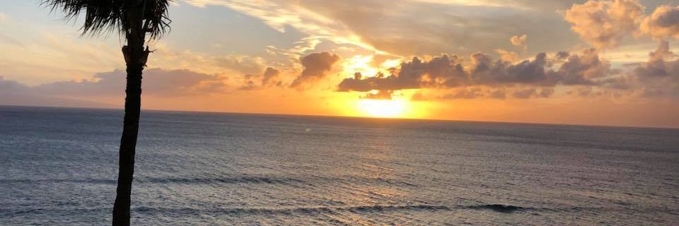 DawnBenson8's profile banner image