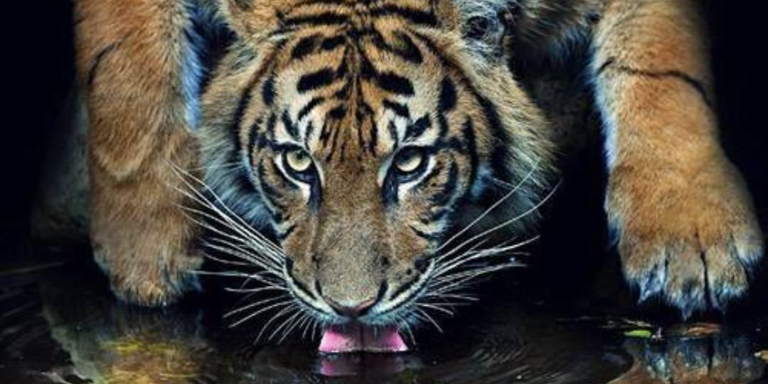 borjaqm's profile banner image
