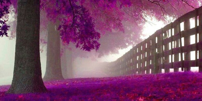 KELLYBONNE's profile banner image