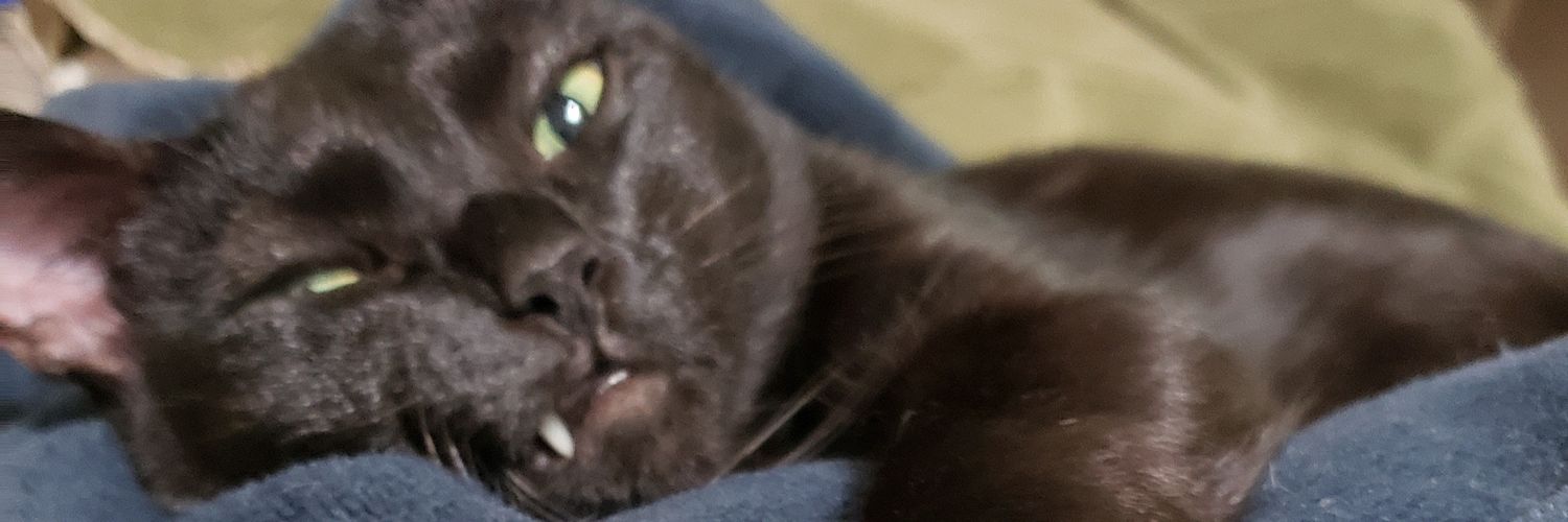 pabaji's profile banner image
