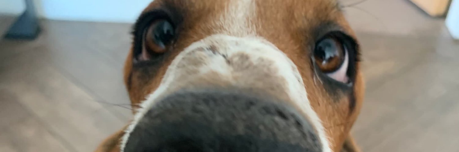 weetabecs banner