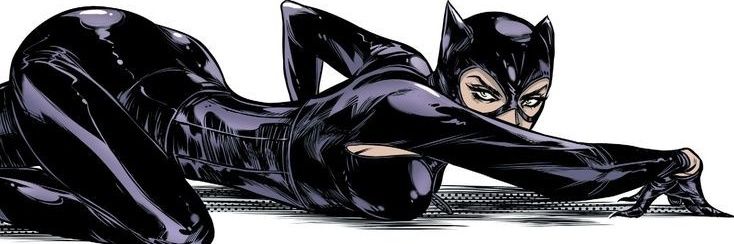 𓃠 Danny Santana🦊 banner