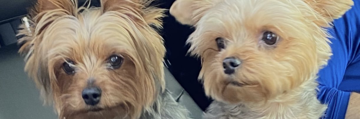 its_sawah's profile banner image