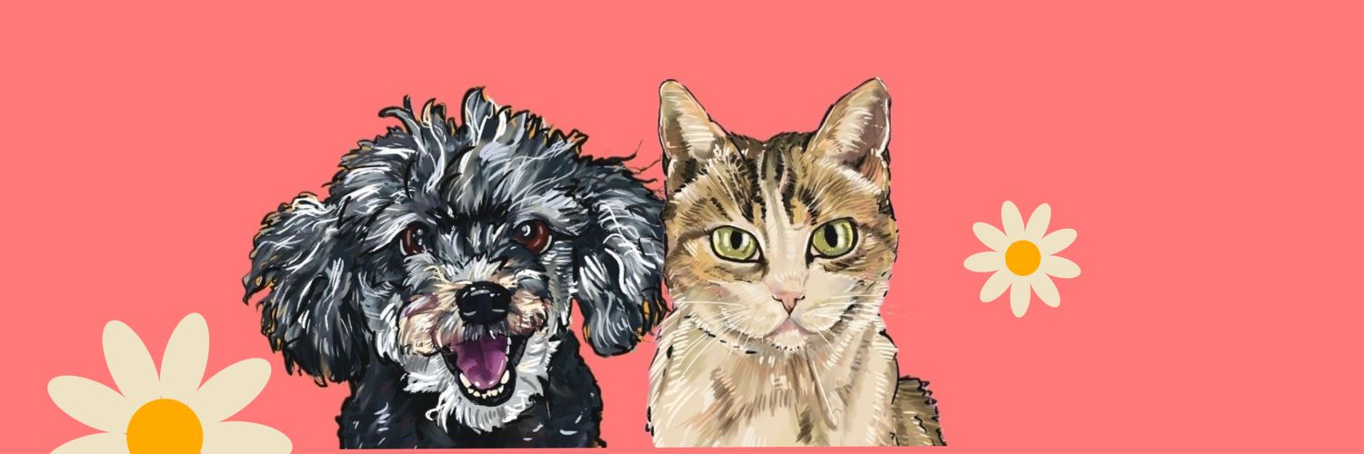 Majo Mandarinas banner