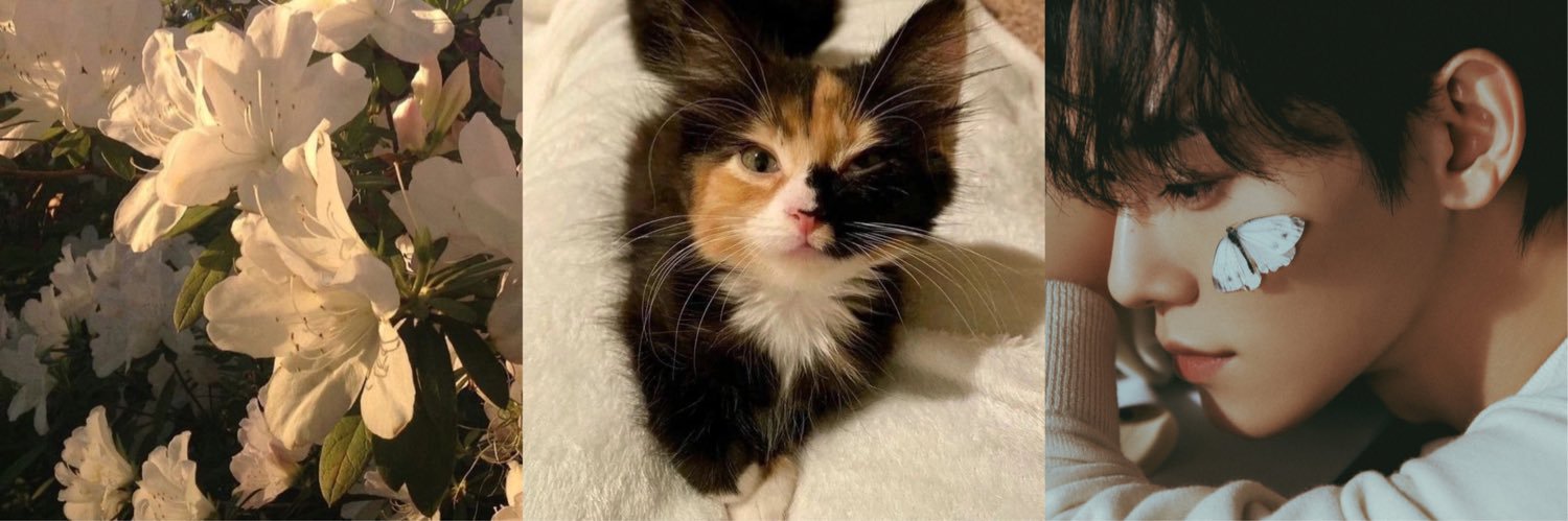 xo, my cyberchen banner