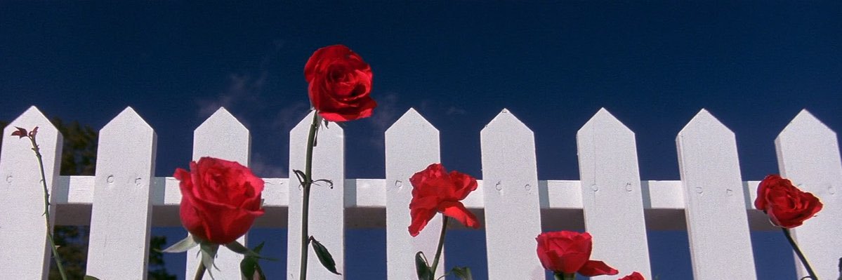 beforesnrise's profile banner image