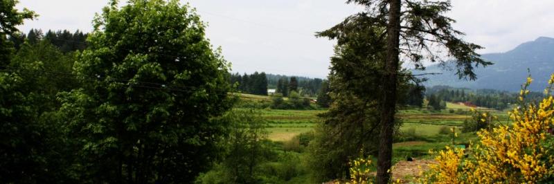 cpicco49's profile banner image