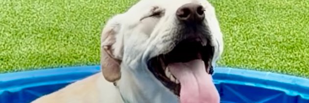 LauraWCCO's profile banner image