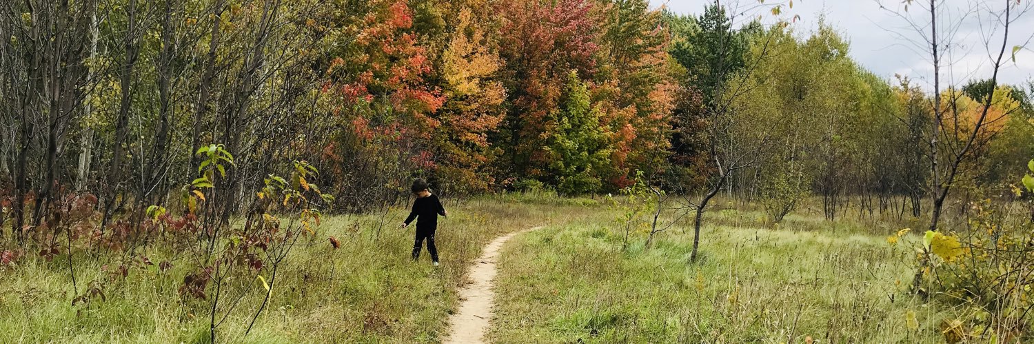 Julie Gordon banner