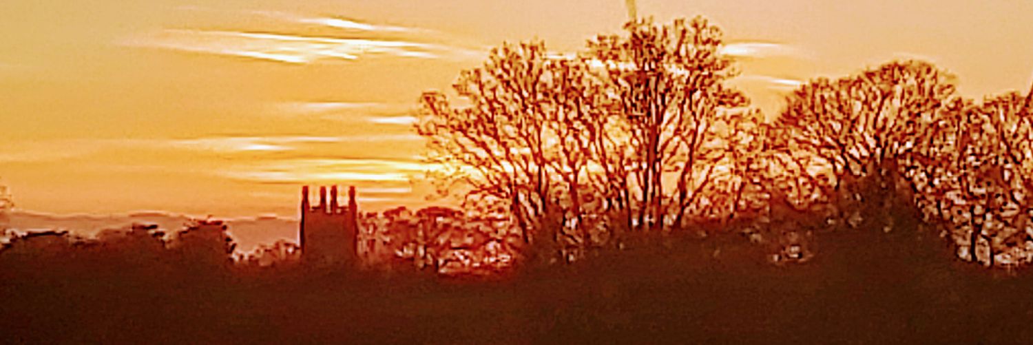 dilydaly4's profile banner image