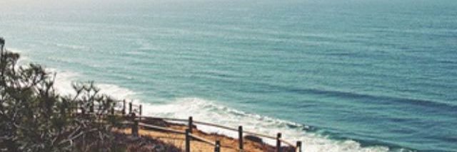 pippss_'s profile banner image