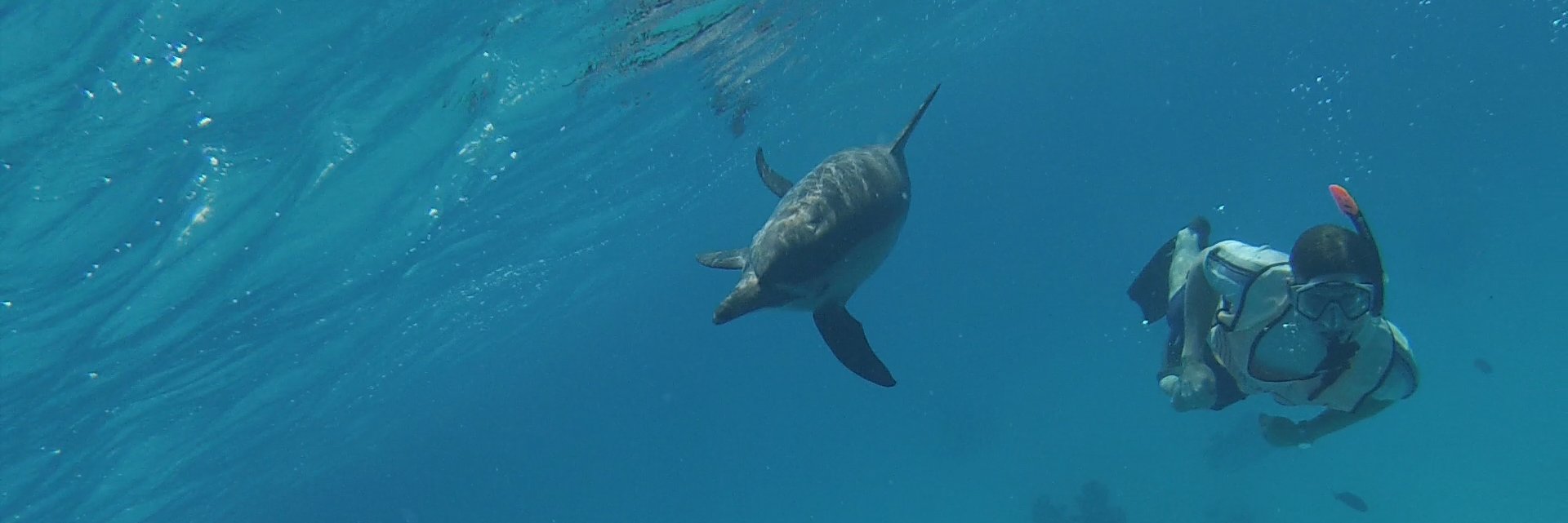 Daniel Hammersley banner