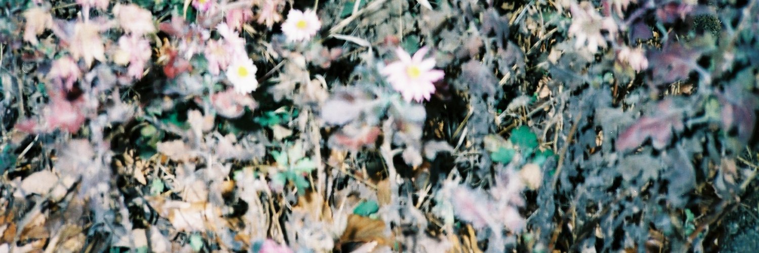 ___lr__o's profile banner image