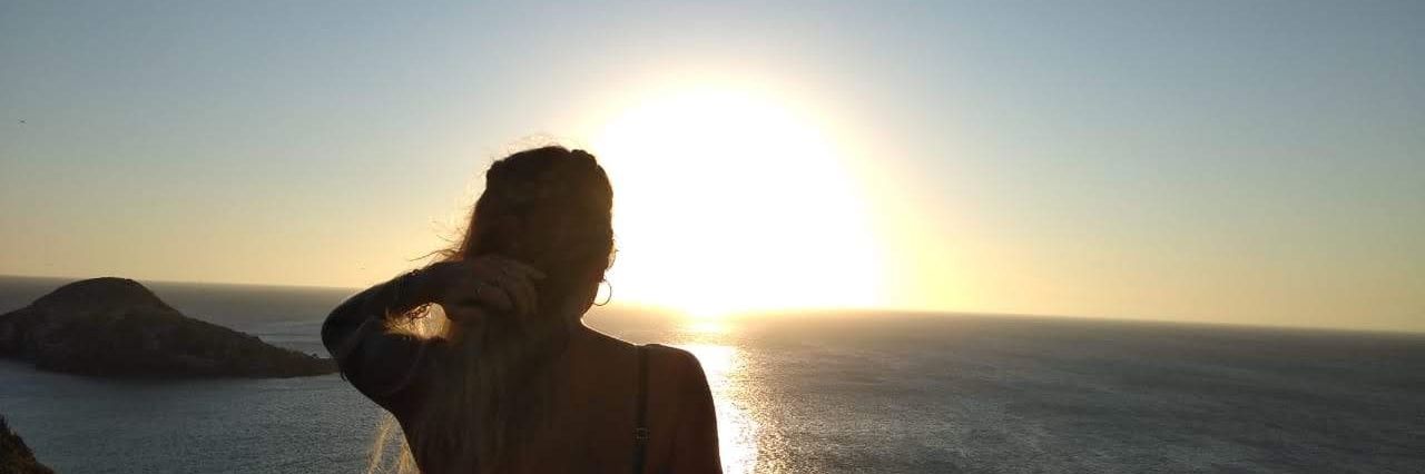 beelulvedal's profile banner image