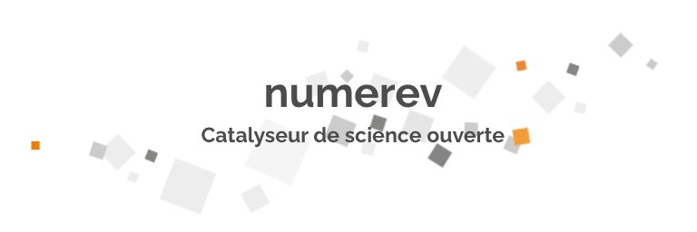 NumeRev banner