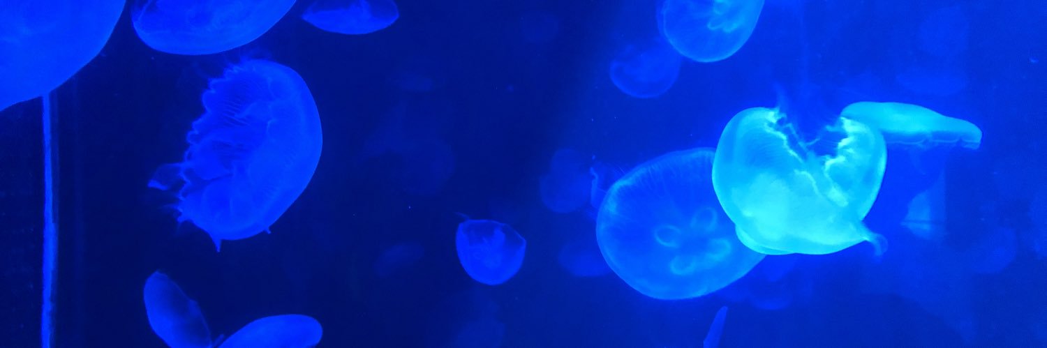 3Bnyan's profile banner image