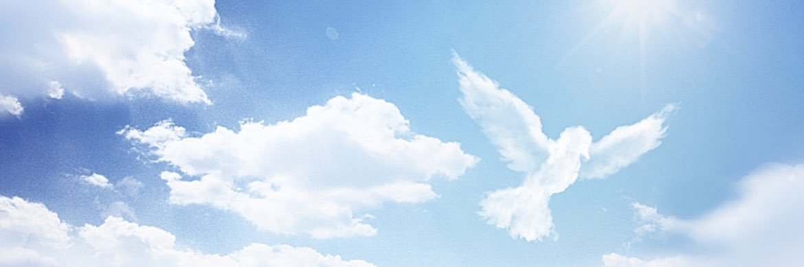 abcde_445's profile banner image