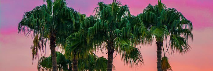 Mahfoozamin1's profile banner image