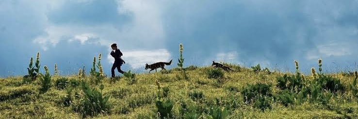 Ay'göz 🦋 banner