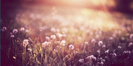 Sofi_BlancoG's profile banner image