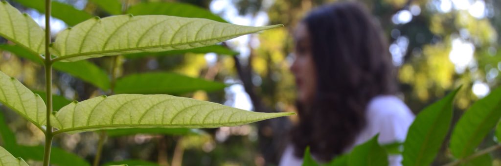 beaemepe's profile banner image